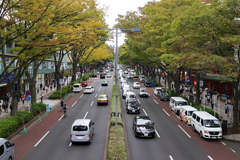 Viale Omotesando